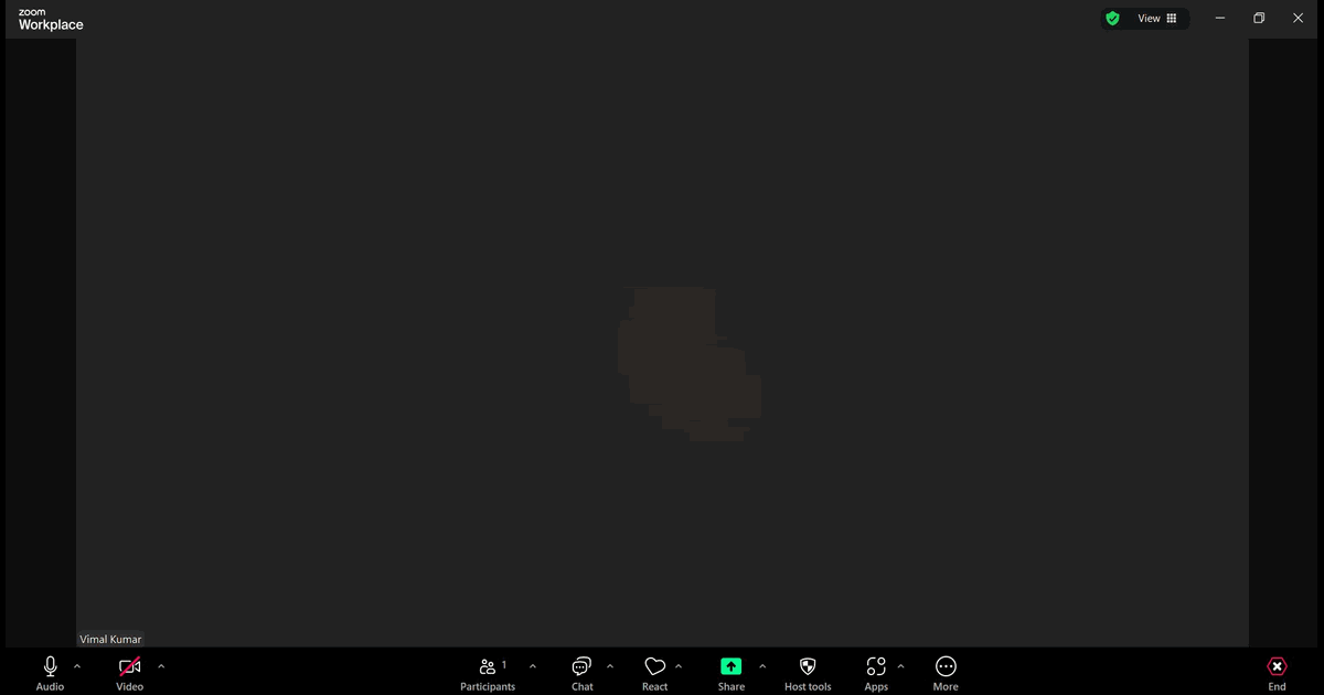 How to Raise Hand in Zoom screenshot