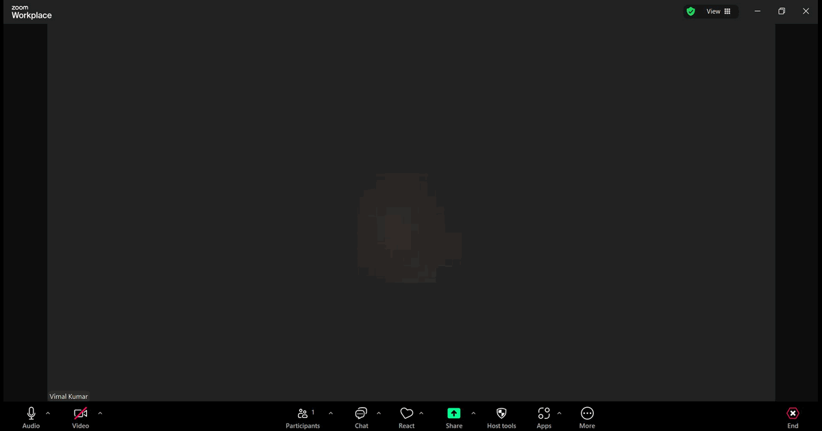 How to Mute in Zoom screenshot