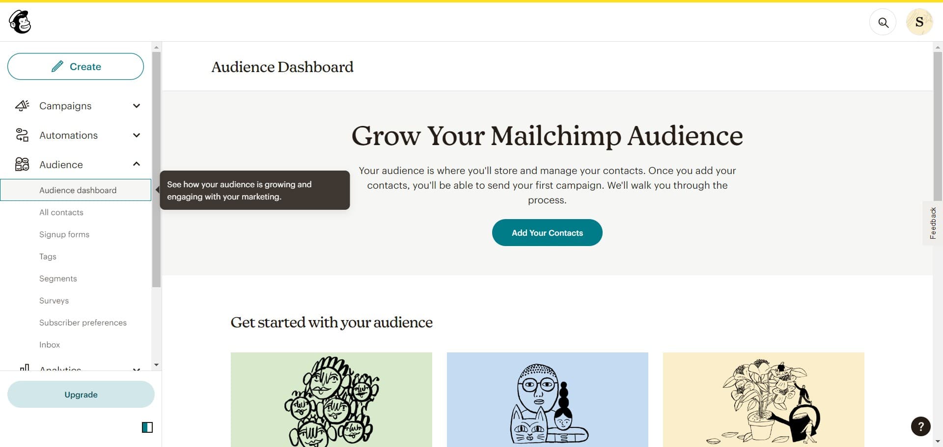 Click on Audience dashboard