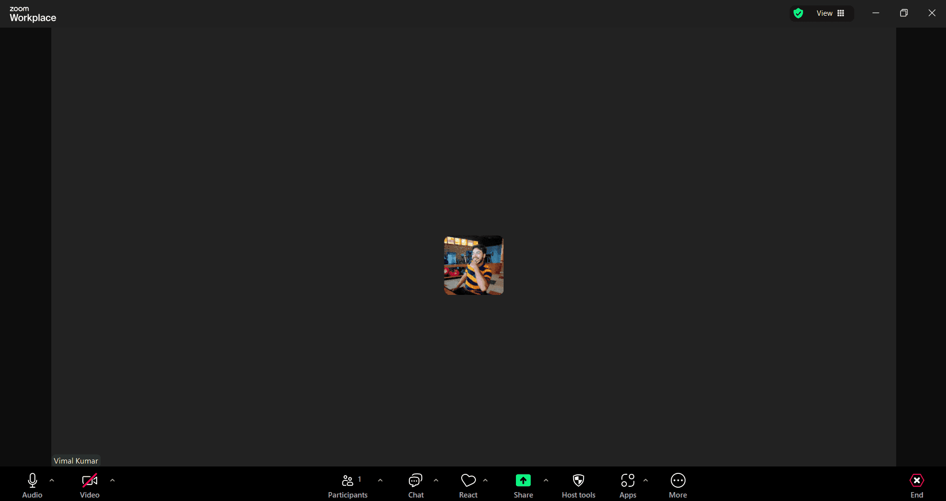 Open the Zoom meeting controls